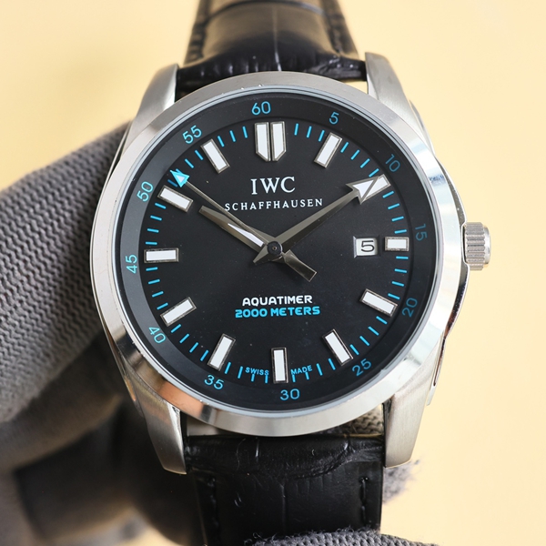 アイ・ダブリュー・シー側面デザイン